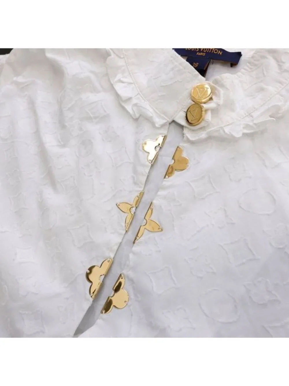 Louis Vuitton brand louis
